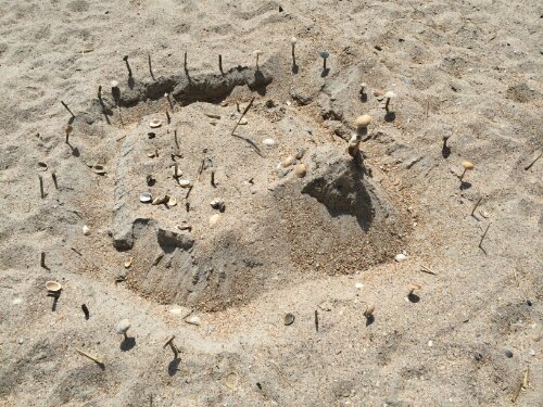 wp-1396493884878 image